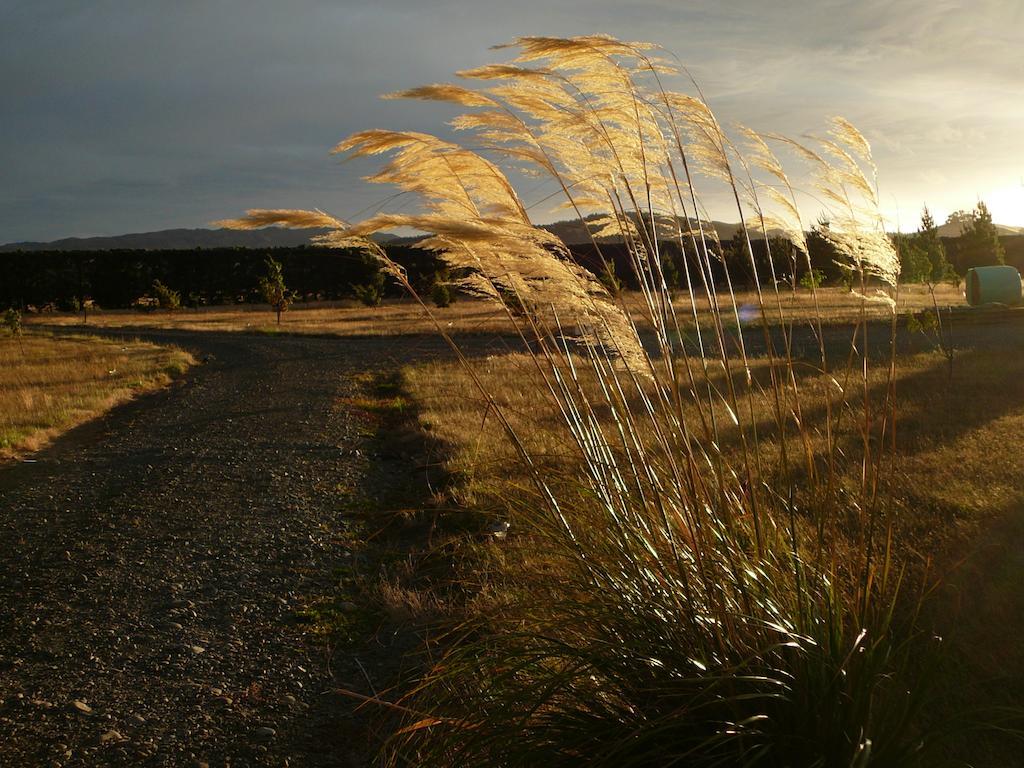 Bentleys Country Stay Hawarden Luaran gambar